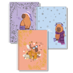 Kit 3 Cadernos Capa Dura Coleção Capi Vera 80 Folhas 01 Matéria