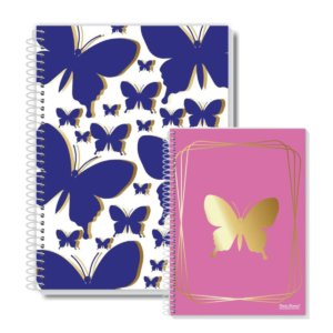 Kit 2 Cadernos Universitários Capa Dura Coleção Fly 10 Matérias 160 Folhas