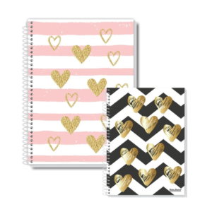 Kit 2 Cadernos Capa Dura Coleção Amo! 10 Matérias 160 Folhas