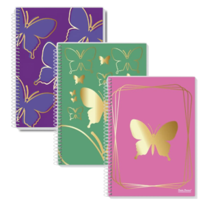 Kit 3 Cadernos Capa Dura Coleção Fly 01 Matéria 80 Folhas